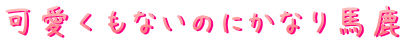 可愛くもないのにかなり馬鹿